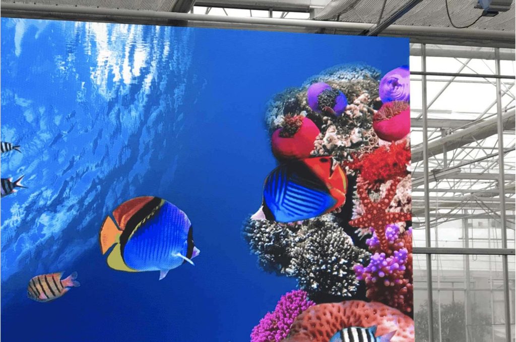 led-leinwand-messe LED-Videowand im Indoor-Einsatz auf Messe