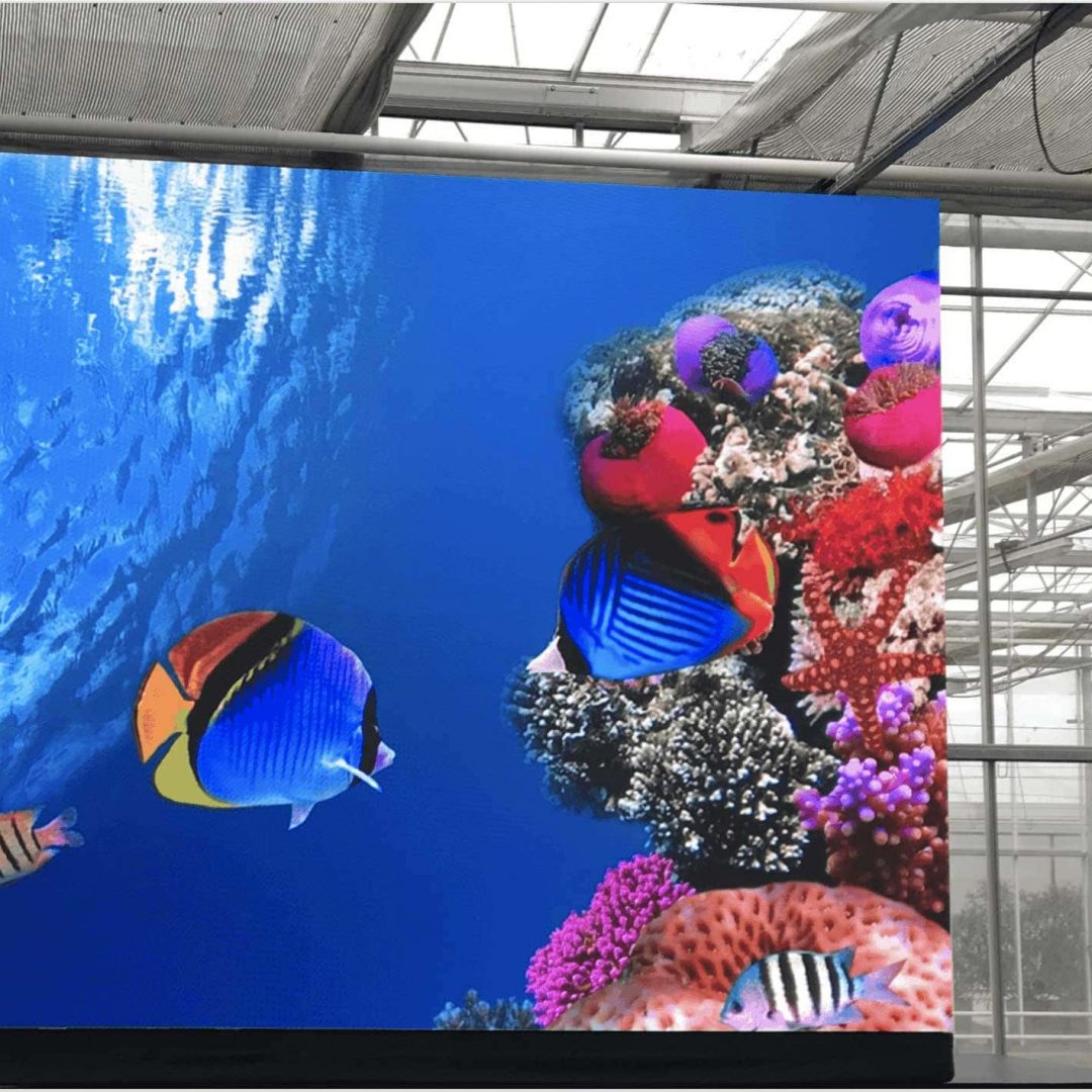led-leinwand-messe LED-Videowand im Indoor-Einsatz auf Messe